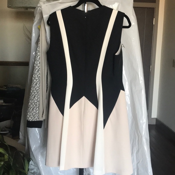 BCBG Max Azria Dress - Picture 5 of 5